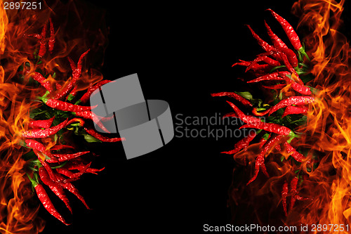Image of chili isolated on the black