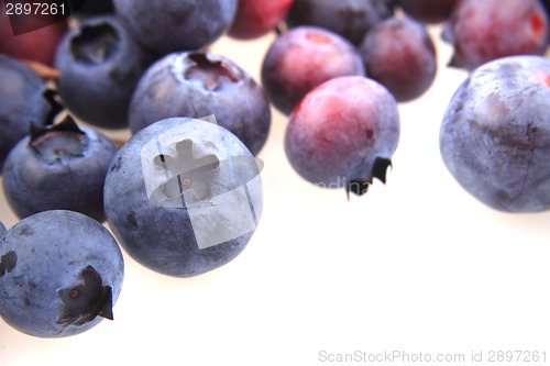 Image of blueberries isolated on the white background