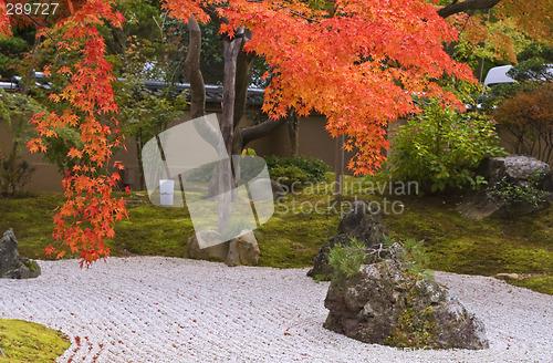 Image of Autumn Japanese garden
