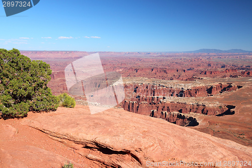 Image of Canyonlands National Park