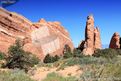 Image of Arches National Park