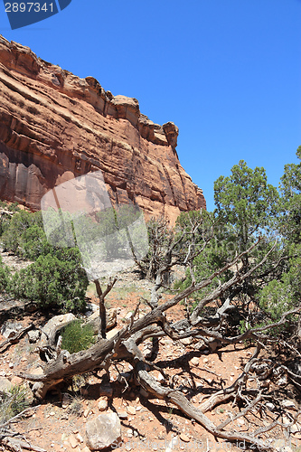 Image of Colorado National Monument