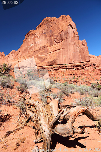 Image of Arches, USA