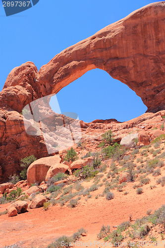 Image of Arches National Park