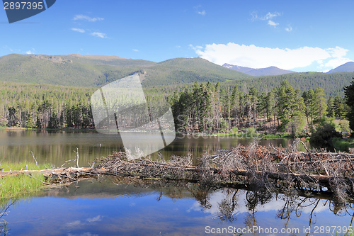 Image of Rocky Mountains - Sprague Lake