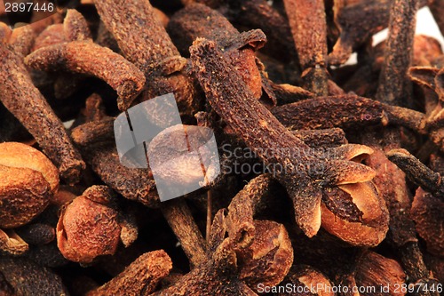 Image of clove spice background 