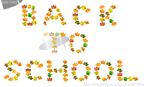 Image of B A C K  T O  S C H O O L text composed of autumn maple leafs