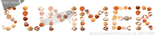 Image of S U M M E R text composed of seashells