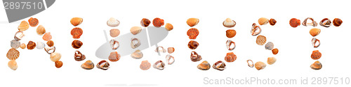 Image of A U G U S T text composed of seashells