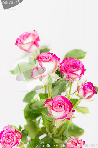 Image of Bouquet of pink rose flowers