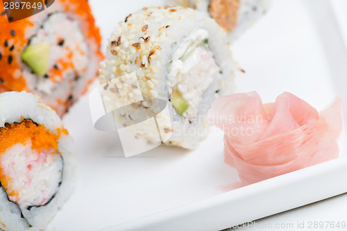 Image of Ginger in focus and shushi on the background