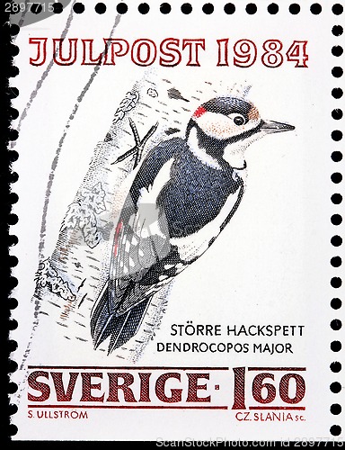 Image of Woodpecker Stamp