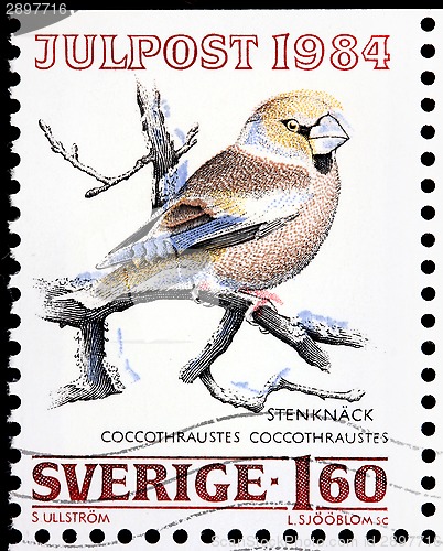 Image of Hawfinch Stamp