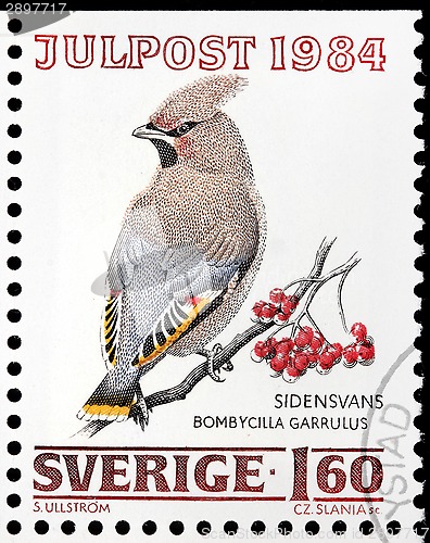 Image of Bohemian Waxwing Stamp