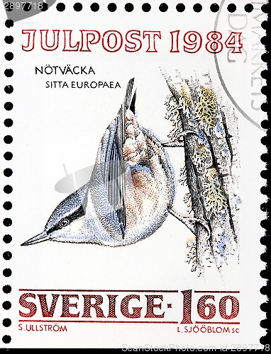 Image of Eurasian Nuthatch Stamp