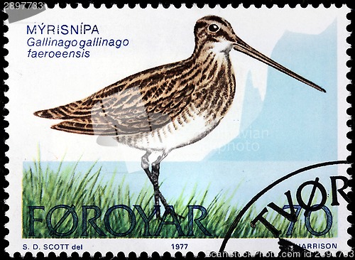 Image of Common Snipe Stamp