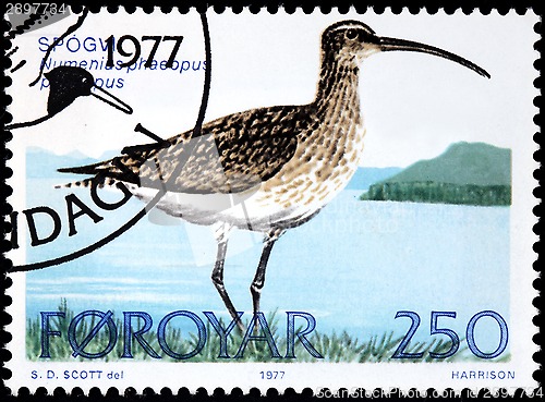 Image of Whimbrel Stamp