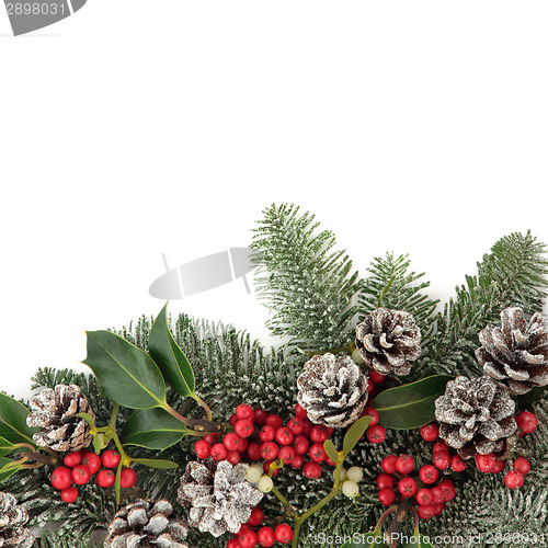 Image of Winter Floral Border