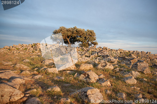 Image of galilee landscape