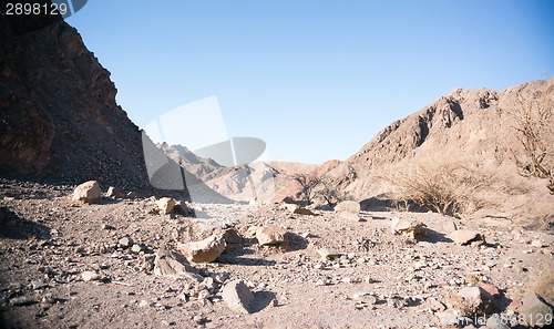 Image of Stone desert in Israel