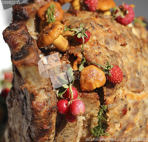 Image of Meat stump 