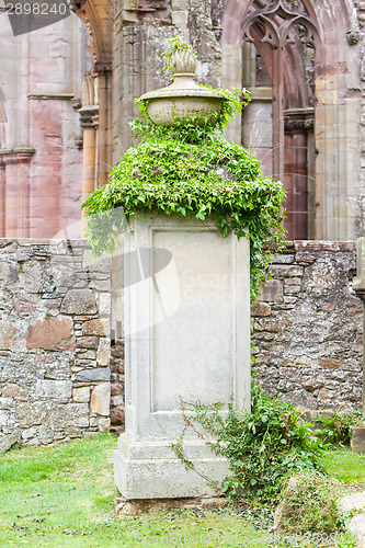 Image of Very old gravestone with green leaves