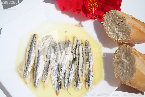 Image of Spanish tapas - Boquerones