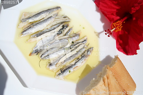 Image of Spanish tapas - Boquerones