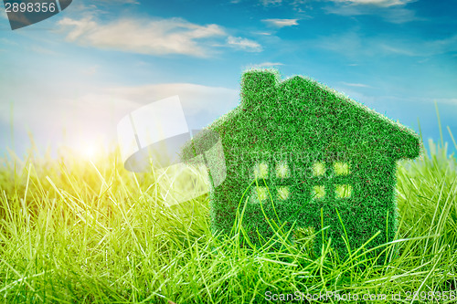 Image of House on the green grass