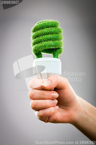 Image of Concept Eco light bulb