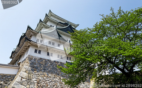 Image of Nagoya castle