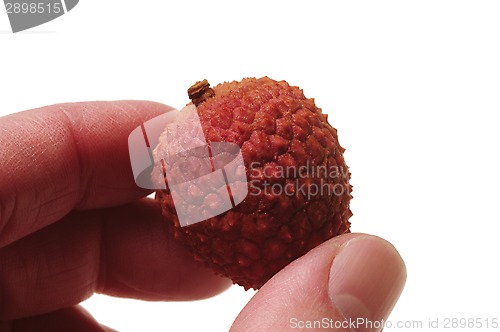 Image of Closeup of Chinese lychee fruit