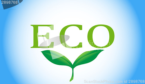 Image of Eco concept