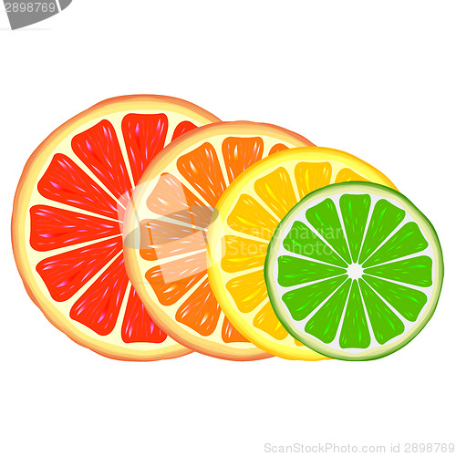 Image of Citrus