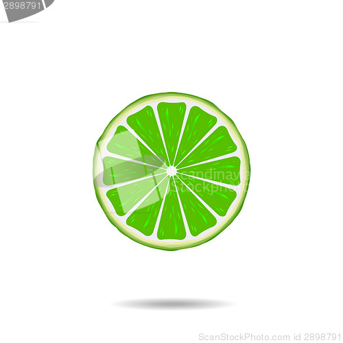 Image of Lime slice