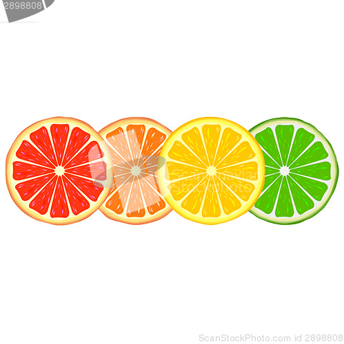 Image of Citrus