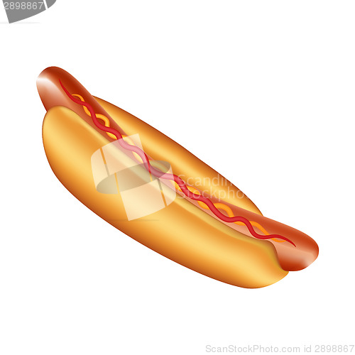 Image of Hot dog on white