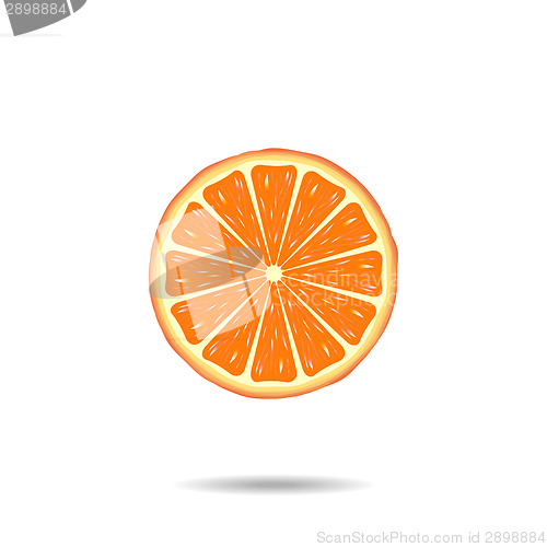 Image of Orange slice