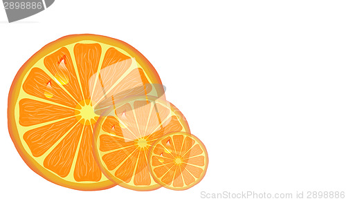 Image of Orange slices