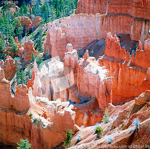 Image of Bryce Canyon