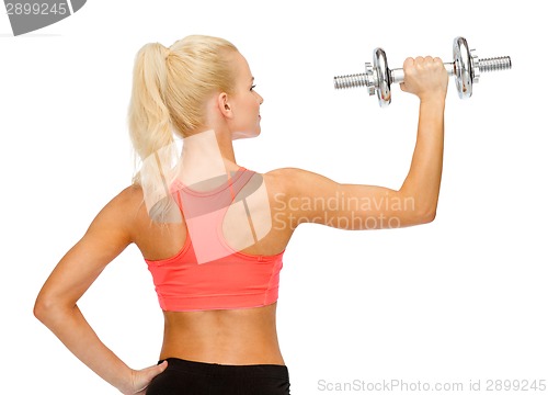 Image of sporty woman with heavy steel dumbbell from back