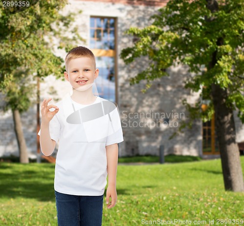 Image of smiling little boy in white blank t-shirt