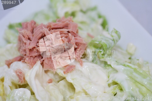 Image of Thunfischsalat