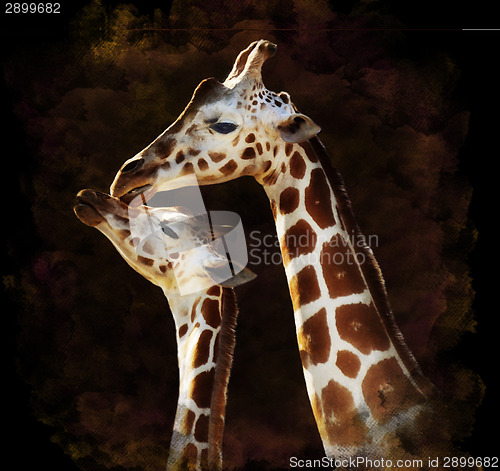 Image of Watercolor Image Of Giraffes