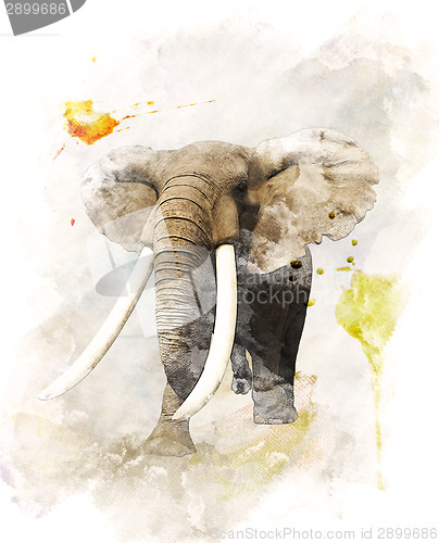 Image of Watercolor Image Of Elephant