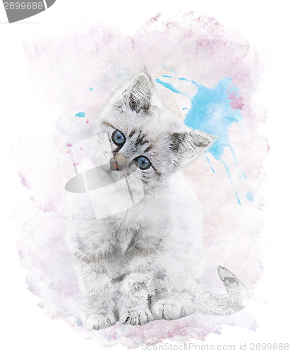 Image of Watercolor Image Of   White Kitten