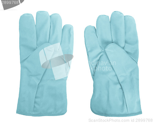 Image of Gloves picture