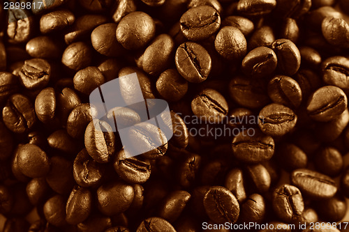 Image of Fragrant fried coffee beans 