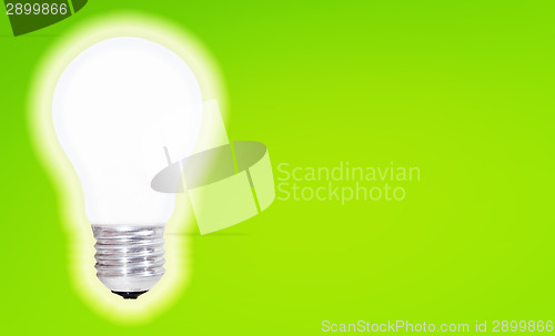 Image of White bulb