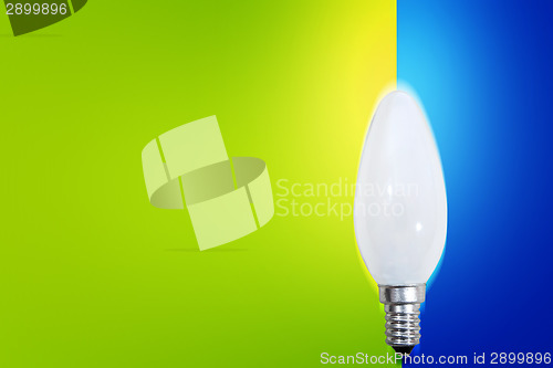 Image of White bulb